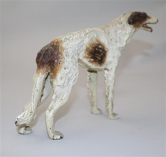 A late 19th century Austrian cold painted bronze model of a Borzoi, 9.5in. H.6.25in.